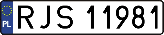 RJS11981