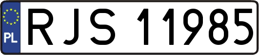 RJS11985