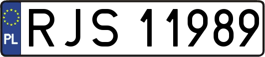 RJS11989