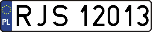 RJS12013