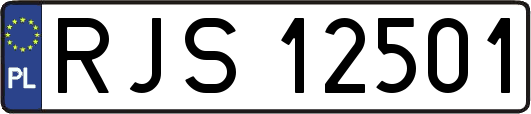 RJS12501