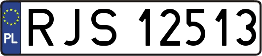 RJS12513