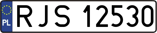 RJS12530