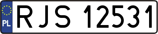 RJS12531