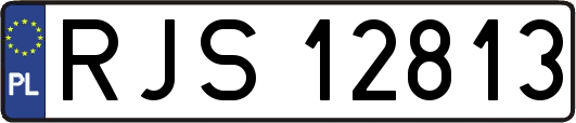 RJS12813