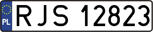RJS12823