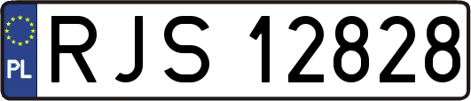 RJS12828