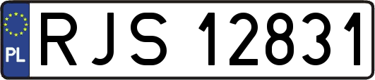 RJS12831