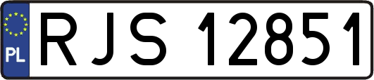 RJS12851