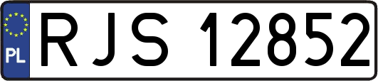 RJS12852
