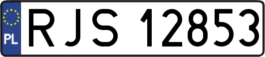 RJS12853