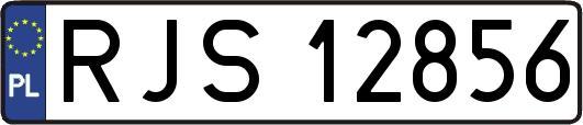 RJS12856