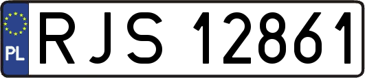 RJS12861
