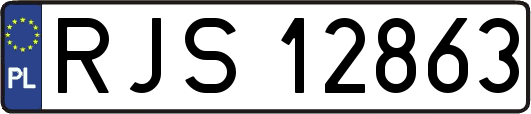 RJS12863