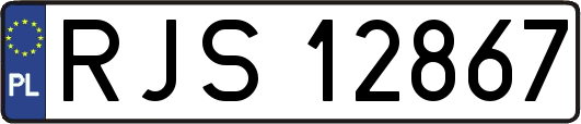 RJS12867