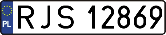RJS12869