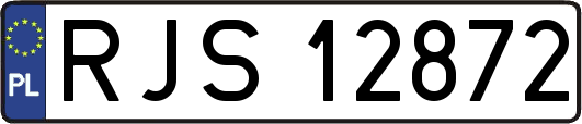 RJS12872