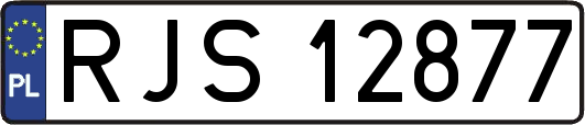 RJS12877