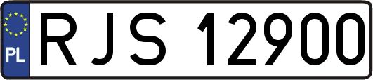 RJS12900