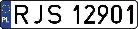 RJS12901