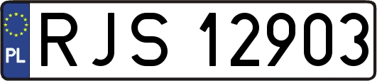 RJS12903