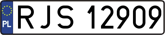 RJS12909