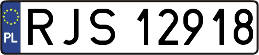 RJS12918