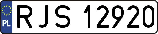 RJS12920