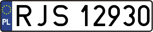 RJS12930