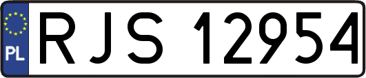RJS12954