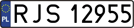 RJS12955