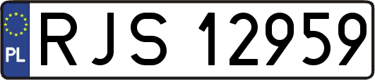 RJS12959