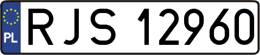 RJS12960