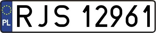 RJS12961