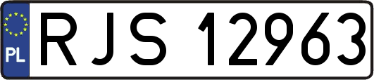 RJS12963
