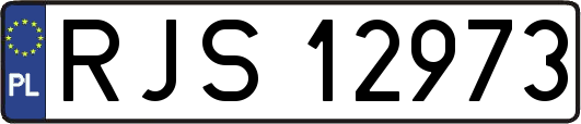 RJS12973