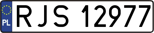 RJS12977