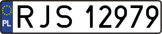 RJS12979