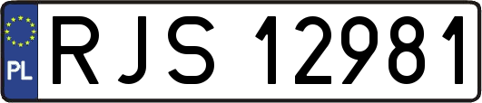 RJS12981