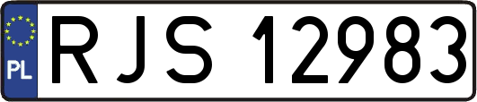RJS12983