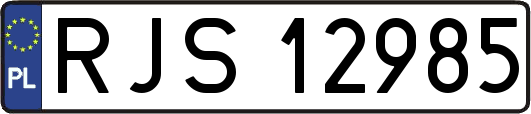 RJS12985