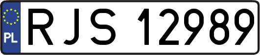 RJS12989