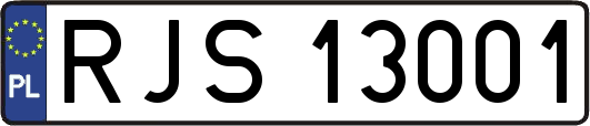 RJS13001