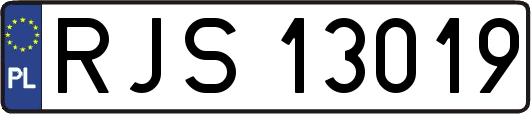 RJS13019