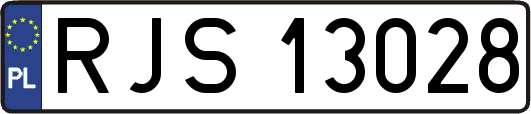 RJS13028