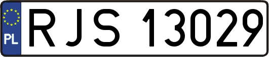 RJS13029