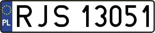 RJS13051