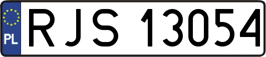 RJS13054