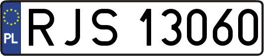 RJS13060