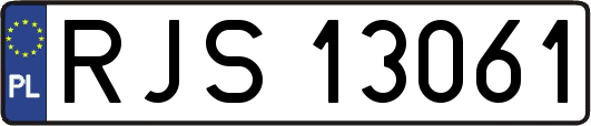 RJS13061